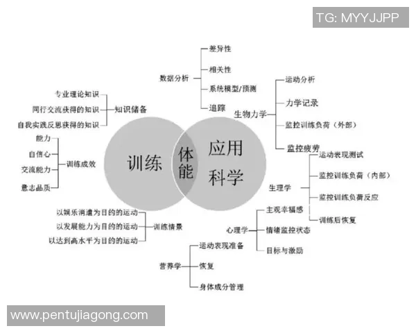 武汉篮球队力量表现的数据分析与战术优化研究